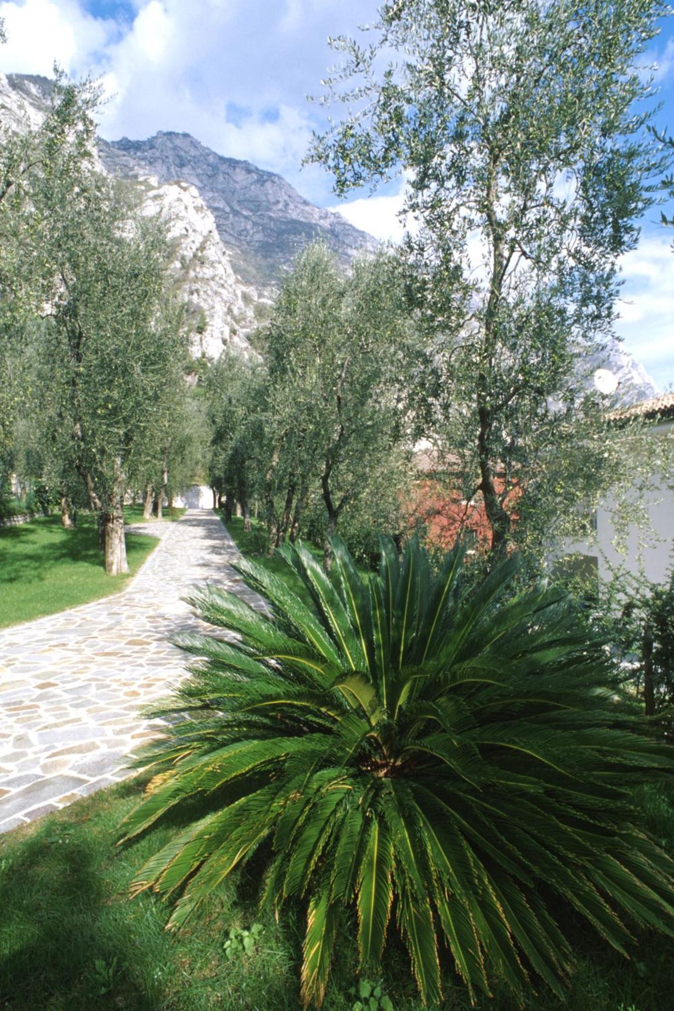 Hotel Ilma Lake Garda Resort Limone sul Garda Dış mekan fotoğraf