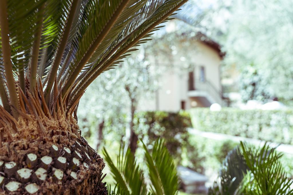 Hotel Ilma Lake Garda Resort Limone sul Garda Dış mekan fotoğraf