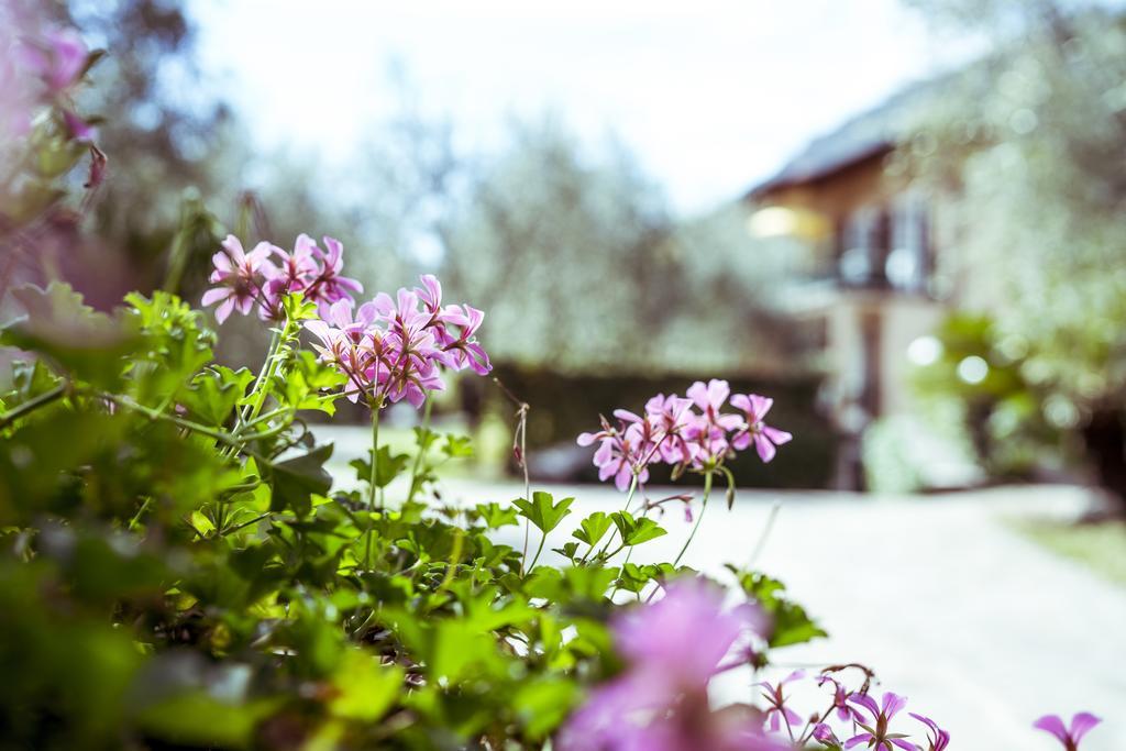 Hotel Ilma Lake Garda Resort Limone sul Garda Dış mekan fotoğraf